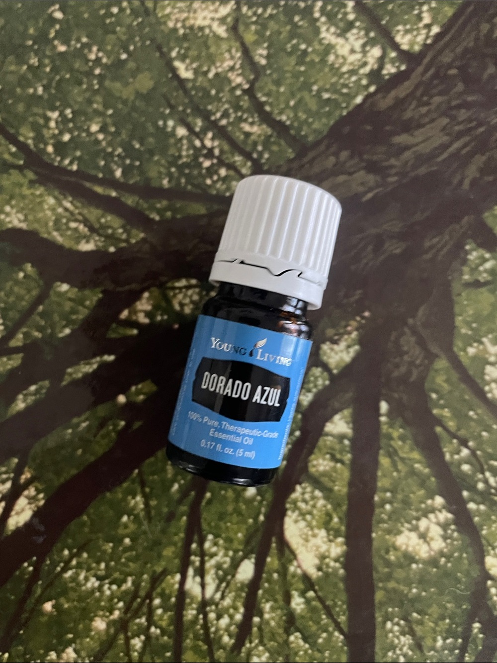 Unopened Dorado Azul Young Living Essential Oil